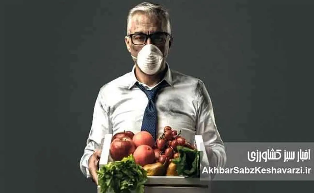 پناه به تغذیه از شر دود؛ رژیم محافظتی بدن در روزهای آلوده شهر