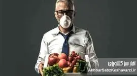 پناه به تغذیه از شر دود؛ رژیم محافظتی بدن در روزهای آلوده شهر