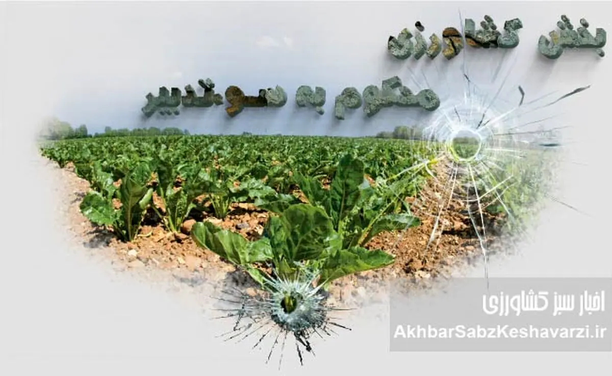 بخش کشاورزی، محکوم به سوءتدبیر