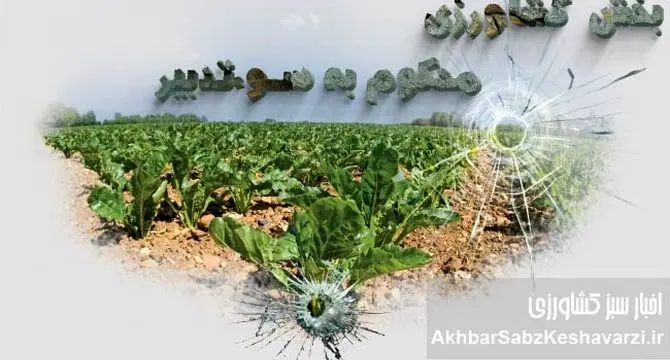 بخش کشاورزی، محکوم به سوءتدبیر