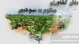 بخش کشاورزی، محکوم به سوءتدبیر