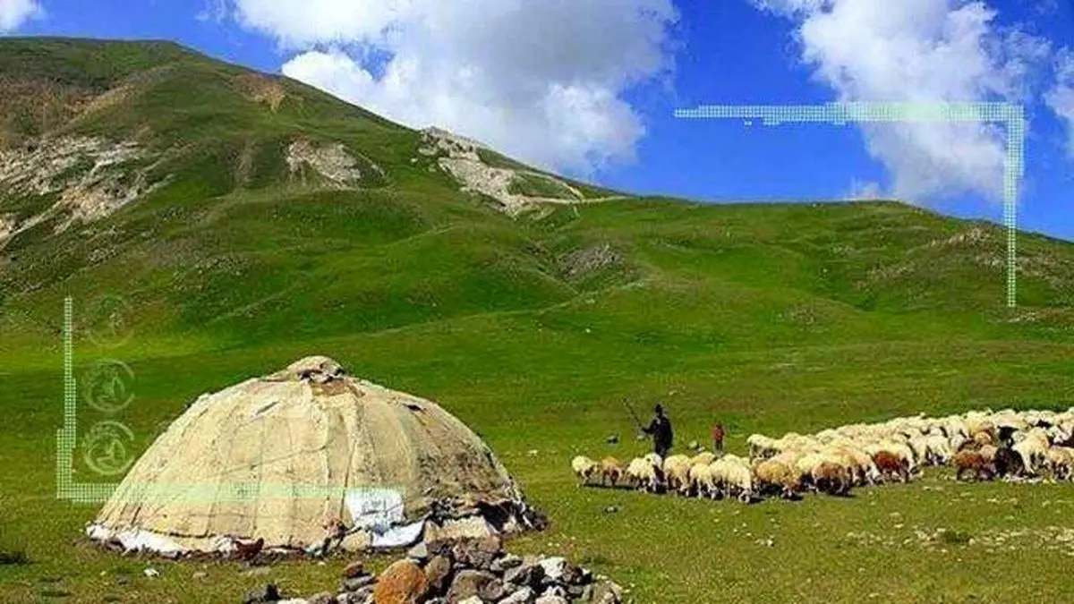 بیتوجهی مدیران به آییننامه ساماندهی عشایر