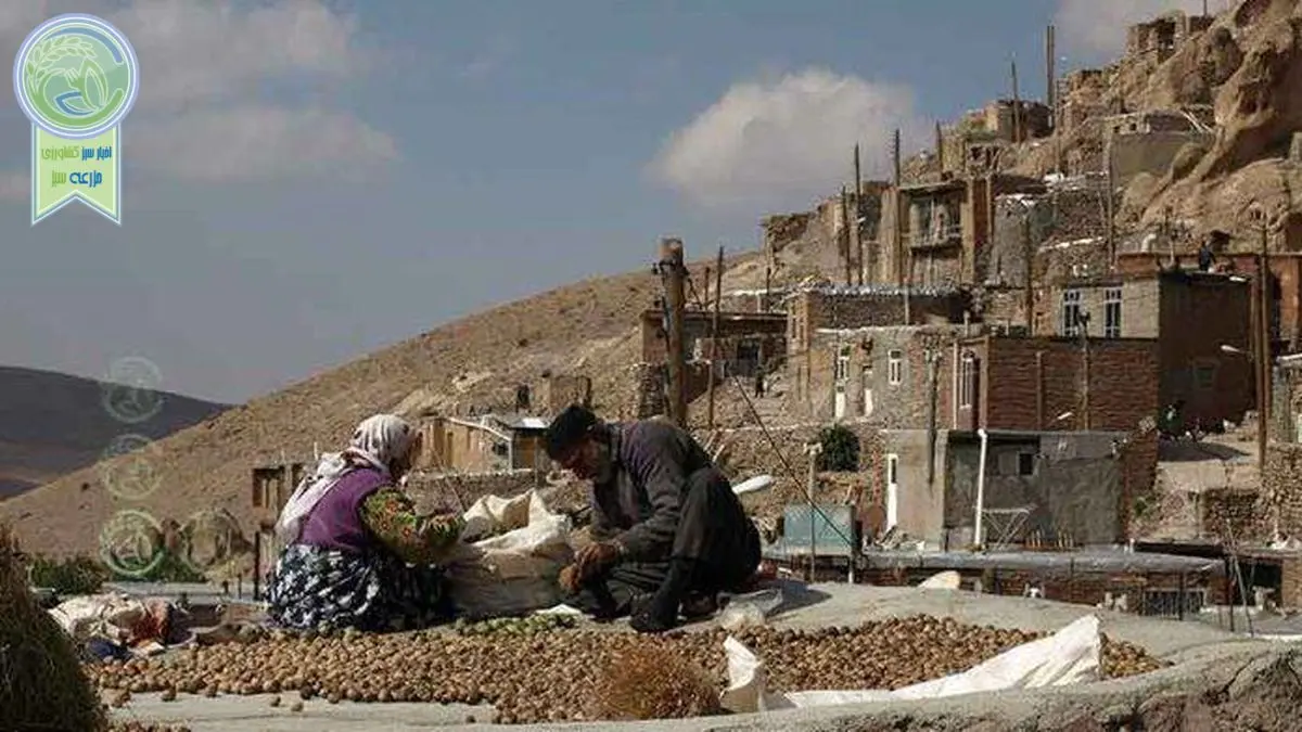 بازار معضل تمام تولیدکنندگان روستایی است