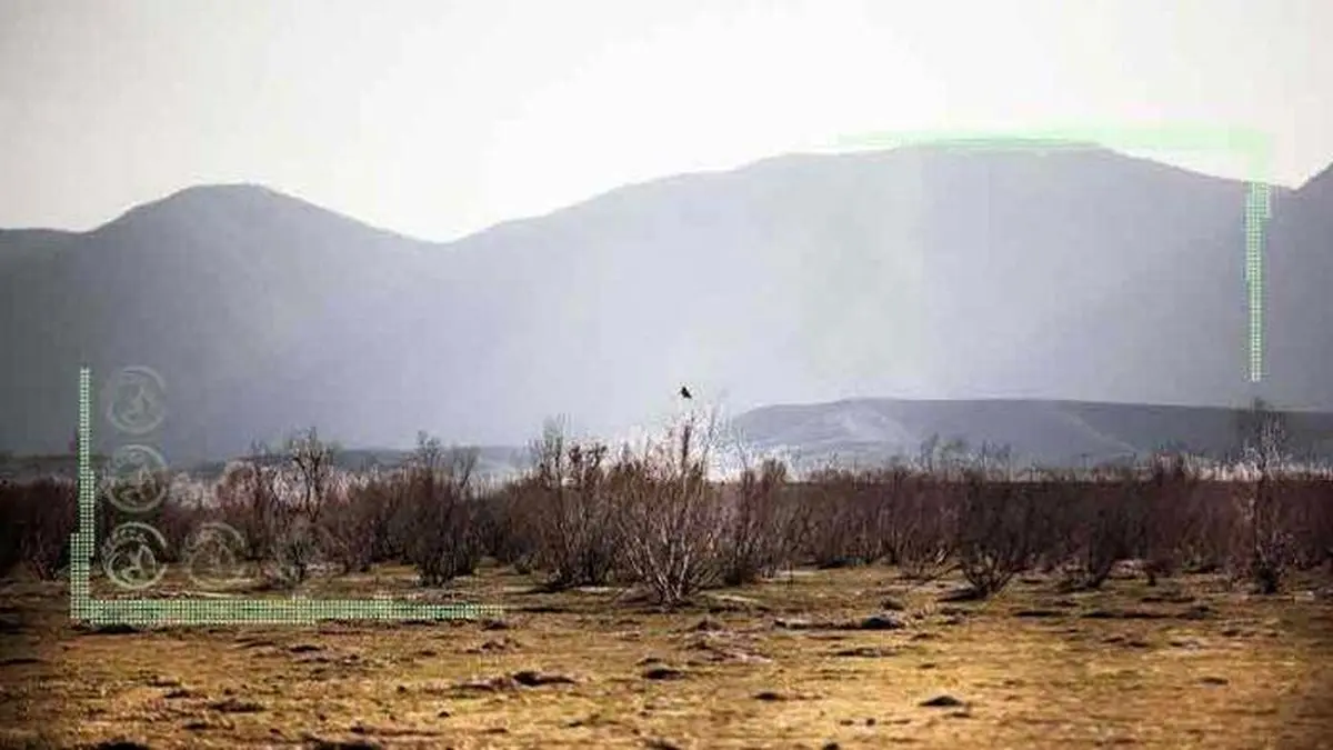 مافیای خشکاندن دریاچه‌ها و تالاب‌ها