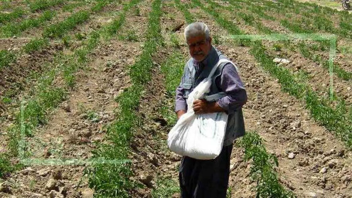 توزیع بیش از ۱۶ هزار تن کود