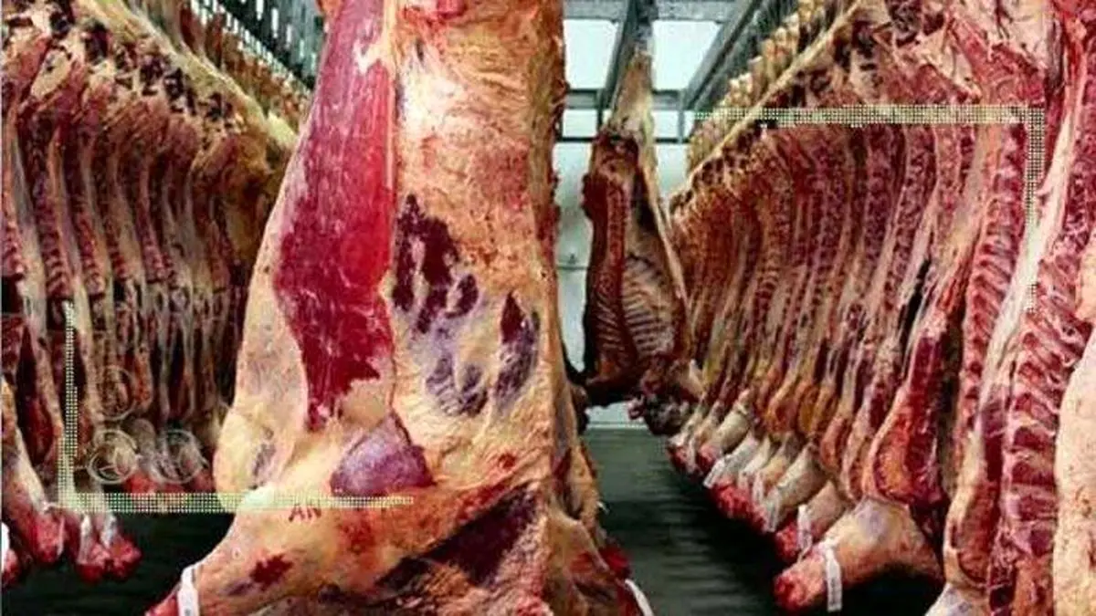 خروج تدریجی بازار گوشت از التهاب