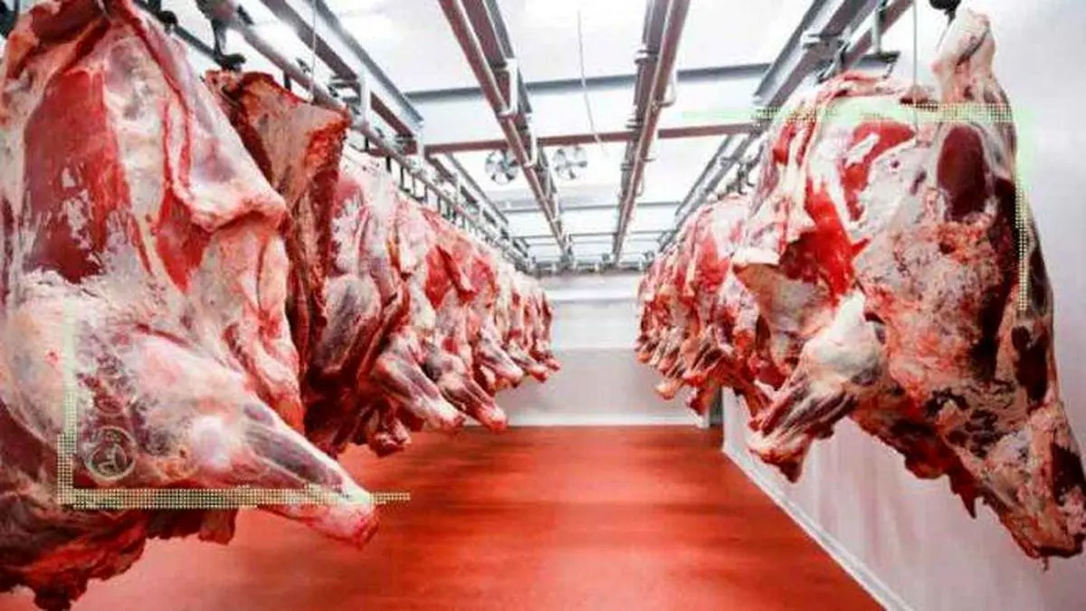 ادامه واردات گوشت گرم گوسفند از استرالیا