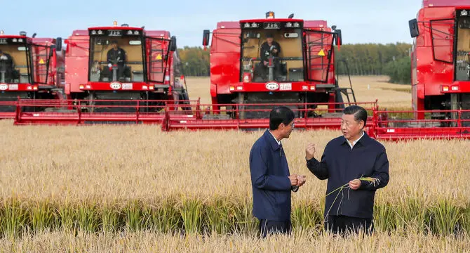 همکاری کشاورزی چین و آسیای مرکزی و کمک به امنیت غلات 