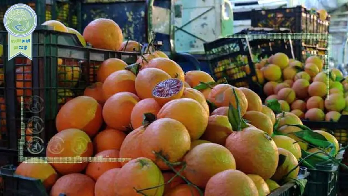 قیمت میوه و تره بار ۲۵ اردیبهشت ۱۴۰۲
