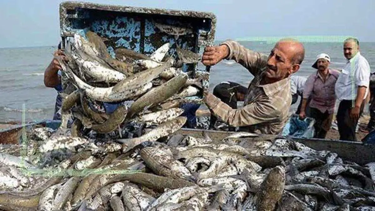 قیمت انواع ماهی ۲۷ اردیبهشت ۱۴۰۲