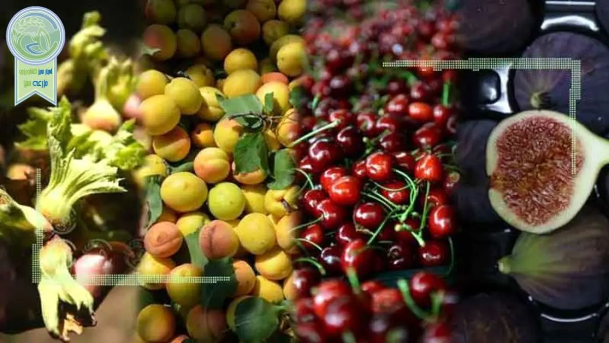 قیمت میوه و تره بار ۲ خرداد ۱۴۰۲