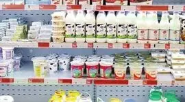 صنایع لبنی: شیر و ماست و پنیر را خودسرانه گران کنید