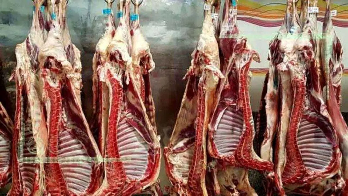 قیمت روز گوشت قرمز در ۳ خرداد ۱۴۰۲