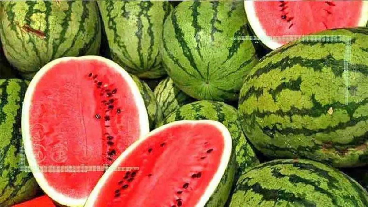 کاهش ریسک بیماری قلبی با خوردن هندوانه