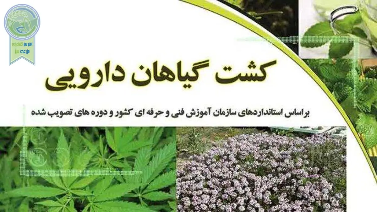 آشنایی با «کشت گیاهان دارویی»