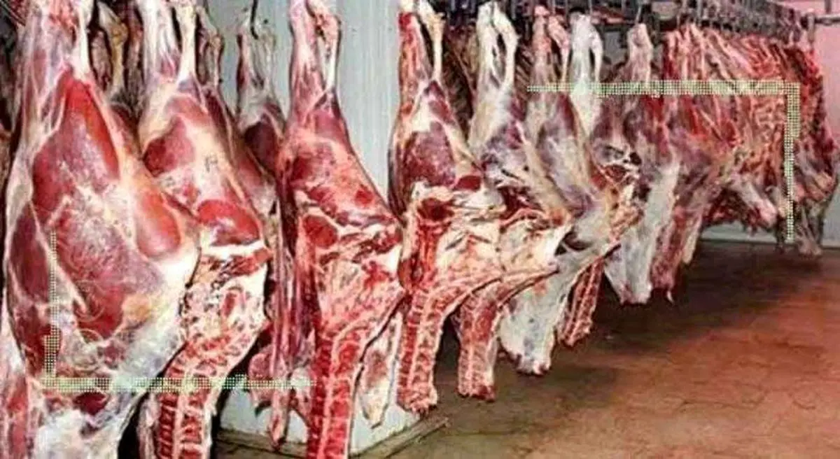 قیمت روز گوشت قرمز در ۴ خرداد ۱۴۰۲