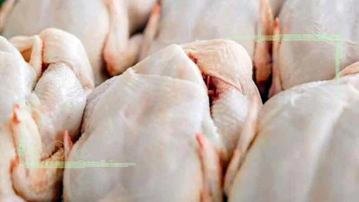 قیمت انواع مرغ در ۴ خرداد ۱۴۰۲