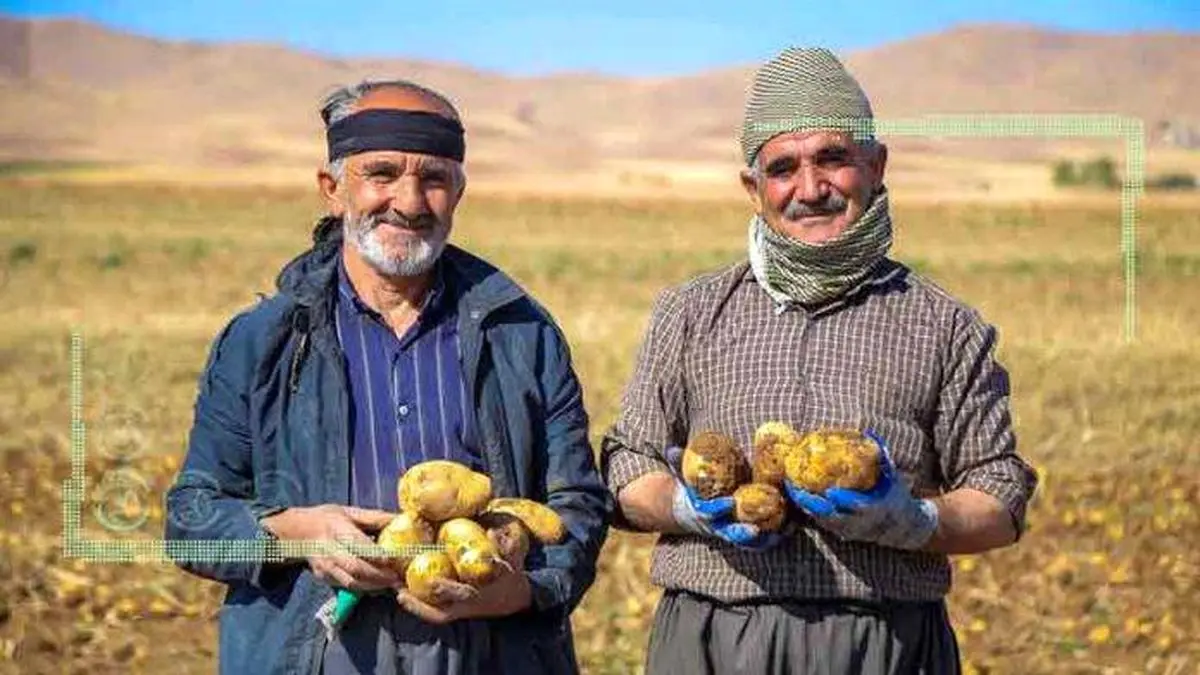 جزئیات مصوبه جدید حمایتی دولت از کشاورزان