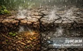 خاک تشنه رازدار بوی باران بود؛ چه چیزی تغییر کرد؟