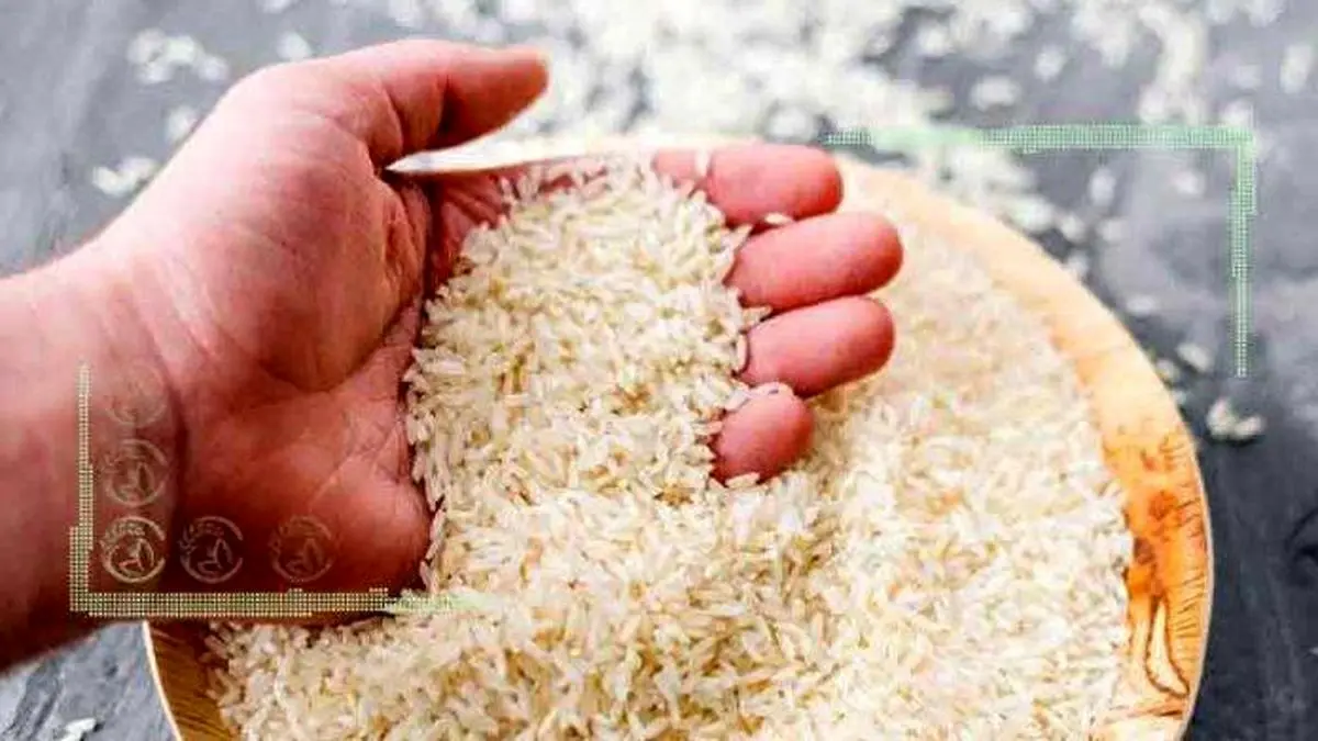ممنوعیت واردات برنج درحال اجرا است