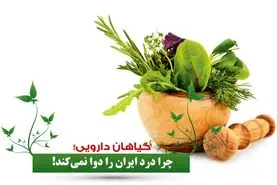 گیاهان دارویی چرا درد ایران را دوا نمی‌کند!

