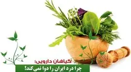 گیاهان دارویی چرا درد ایران را دوا نمی‌کند!

