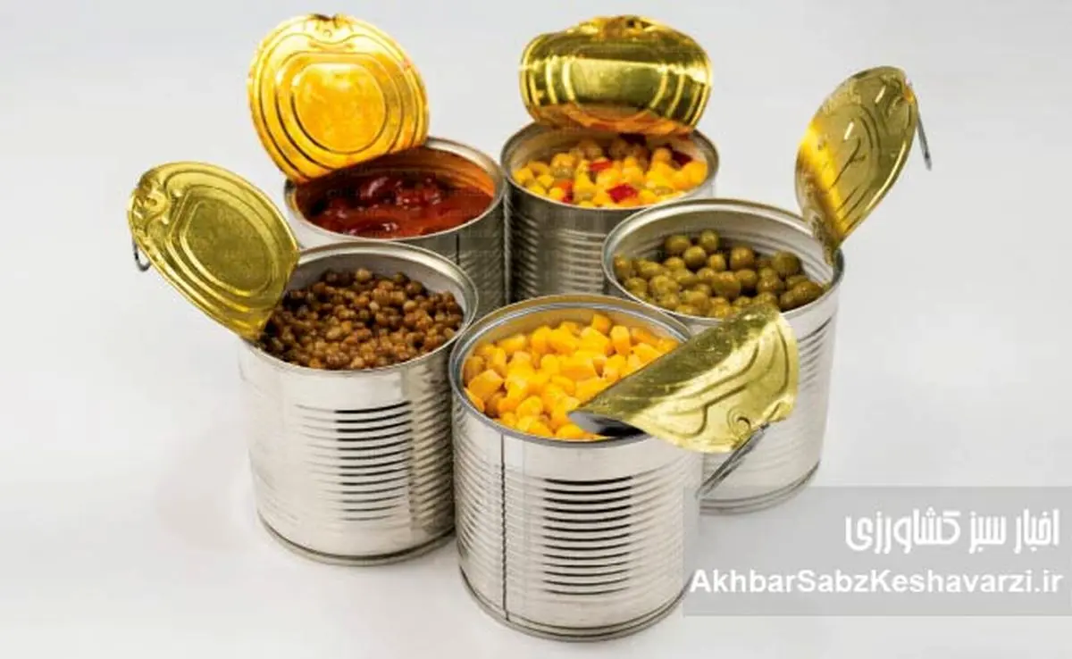 کنسرو کردن خانگی: از روشهای سنتی تا علم روز؛ راهنمای جامع حفظ مواد غذایی