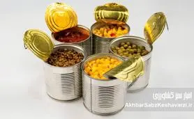 کنسرو کردن خانگی: از روش‌های سنتی تا علم روز؛ راهنمای جامع حفظ مواد غذایی