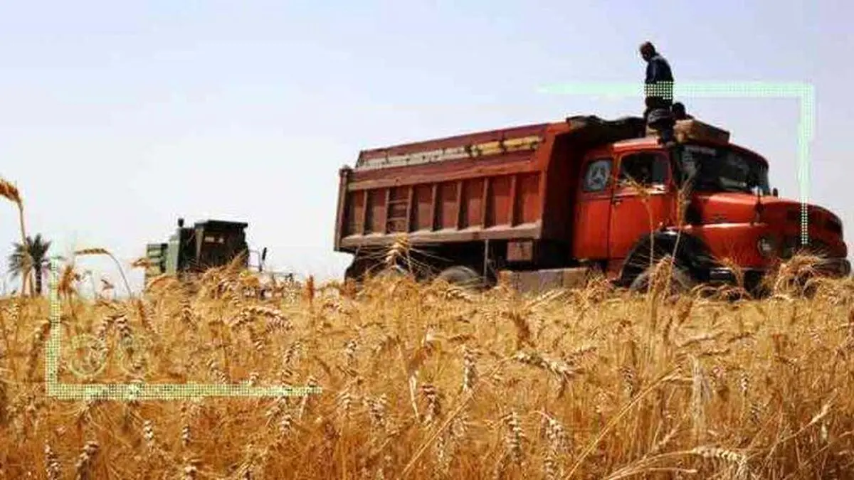 اتاق اصناف با گندم ۱۹ هزار و ۵۰۰ تومانی موافقت کرد