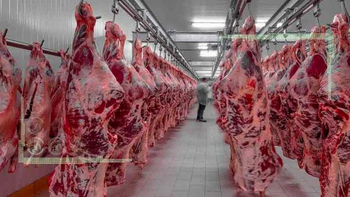 گوشت قرمز ایران در عمان؛ ایران درپی گوشت کنیایی
