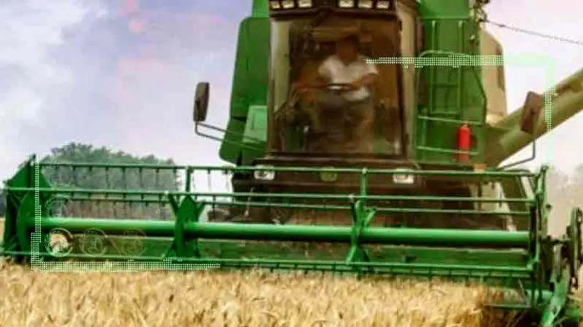 ۵ عامل افزایش تولید گندم در سال جاری