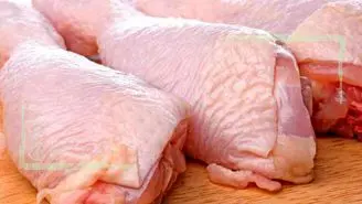 قیمت انواع مرغ در ۹ مهر ۱۴۰۲