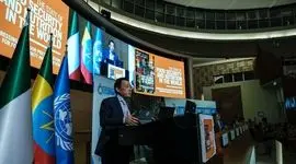 فائو خواستار اقدام فوری، هماهنگ و فراگیر برای پایان دادن به گرسنگی جهانی شد