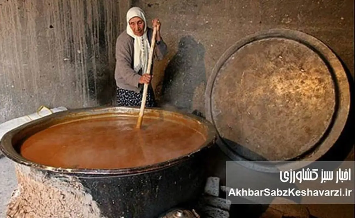 وقتی سمنوی ایران خاموش ماند؛ سمنوپزان تاجیکستان جهانی شد