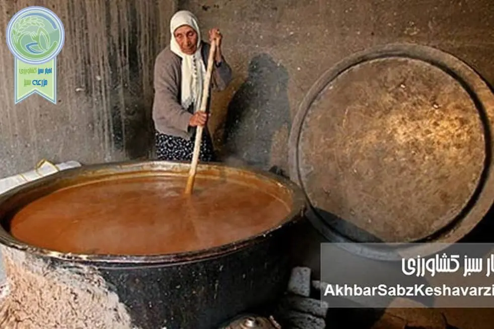 وقتی سمنوی ایران خاموش ماند؛ سمنوپزان تاجیکستان جهانی شد