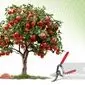 پیش از بیداری درختان؛ آخرین فرصت طلایی هرس و کوددهی باغ‌ها