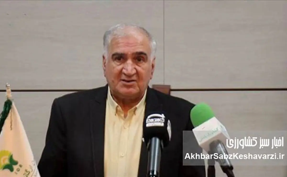 نقش کلیدی کشاورزی ارگانیک در مقابله با تغییرات اقلیمی؛ راهبردی برای آینده سبز 