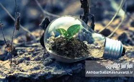 زنجیره تأمین سبز: فشار سوپرمارکت‌ها و برندهای غذایی برای «محصول سبز»