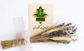 رکوردشکنی بیمه اجباری گندم و دانه‌های روغنی؛ پوشش ۷.۳ میلیون هکتار در سال زراعی ۱۴۰۲-۱۴۰۳