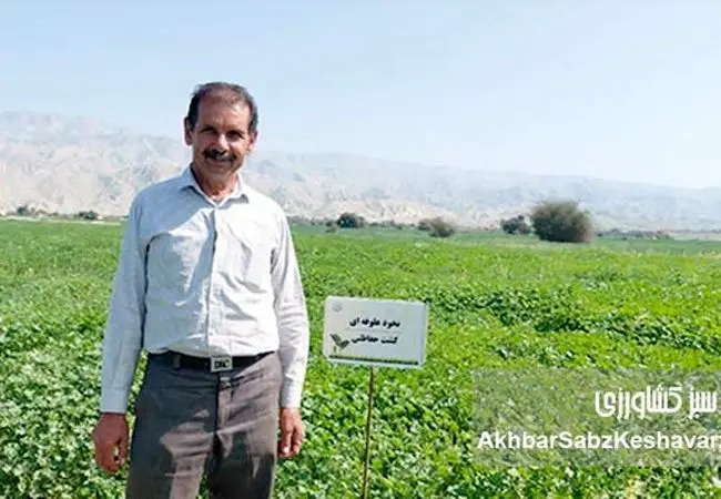 وقتی خاک نفس می‌کشد؛ کشاورزی حفاظتی نخود و گندم در بوشهر