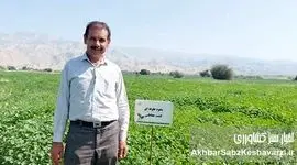 وقتی خاک نفس می‌کشد؛ کشاورزی حفاظتی نخود و گندم در بوشهر