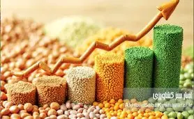 پشت پرده افزایش قیمت حبوبات؛ امنیت غذایی مردم در معرض خطر