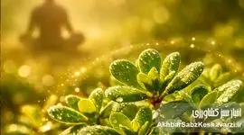 مدیریت فسفر در مزارع