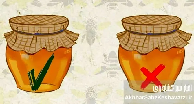 عسل طبیعی در برابر عسل کارخانه‌ای: کدام شیرینی، گنجینه سلامتی شماست؟