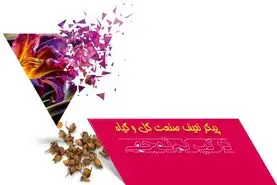 پیکر نحیف صنعت گل و گیاه درگیر کم‌توجهی

