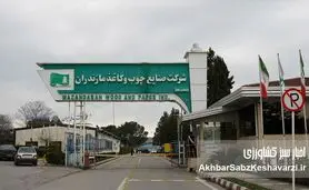 طرح تنفس جنگل؛ چالشی بزرگ بر سر راه صنعت سبز مازندران و ایران