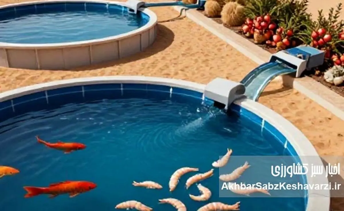 سرابی که واقعیت یافت؛ ماهی‌گیری در قلب عطش