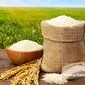 بحران برنج، دست‌ساز سیاست‌هاست؛ وقتی واردات قربانی ارز و مالیات می‌شود