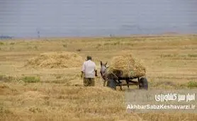 مرگ یک رویا: چرا سند چشم‌انداز ۱۴۰۴ به اهدافش نرسید؟