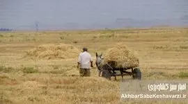 مرگ یک رویا: چرا سند چشم‌انداز ۱۴۰۴ به اهدافش نرسید؟